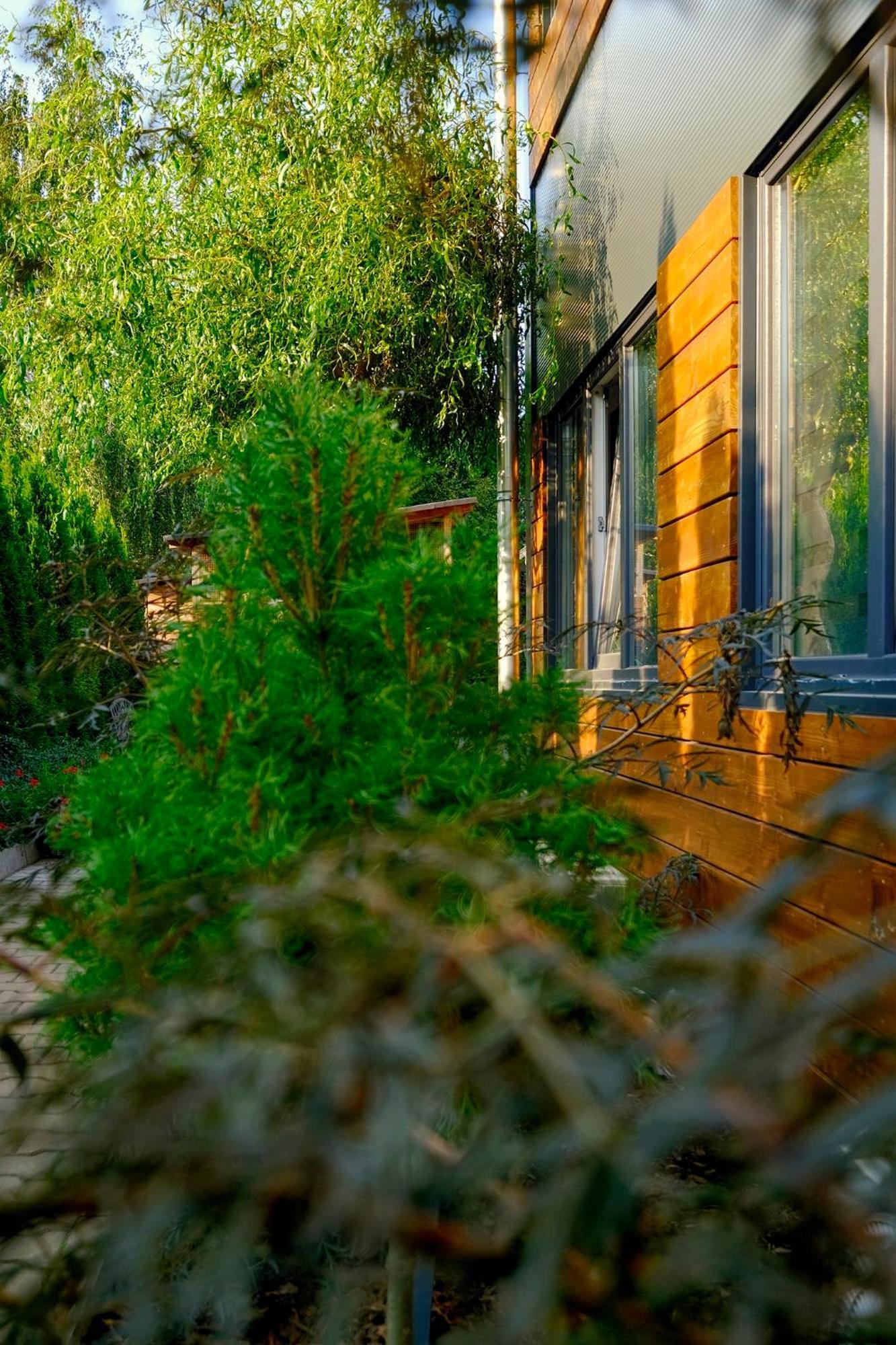 Villa Krotoszyce Εξωτερικό φωτογραφία